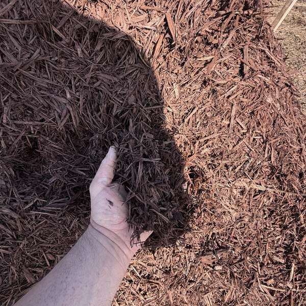 Derby Brown — fine dark brown shredded mulch