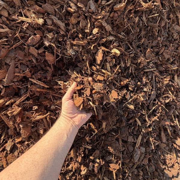 Pine Bark — chunky red-brown pine bark