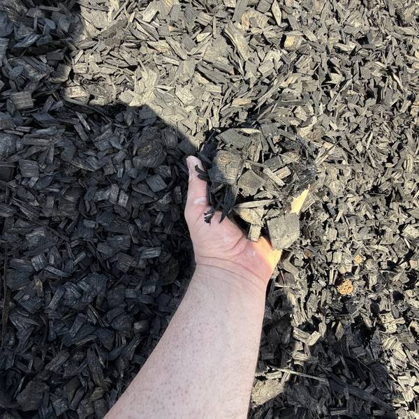 Woodland Black — black coloured wood chip
