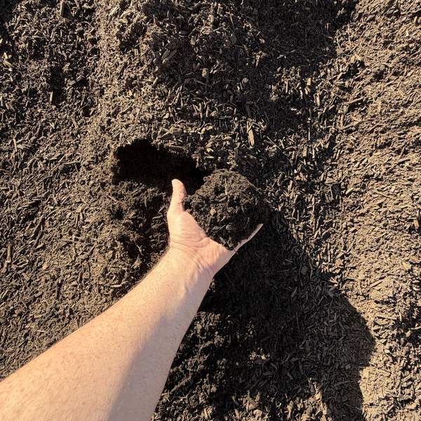 Vegie / Garden Blend — dark rich garden soil blend
