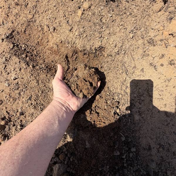 Lawn Blend — sandy brown lawn soil blend