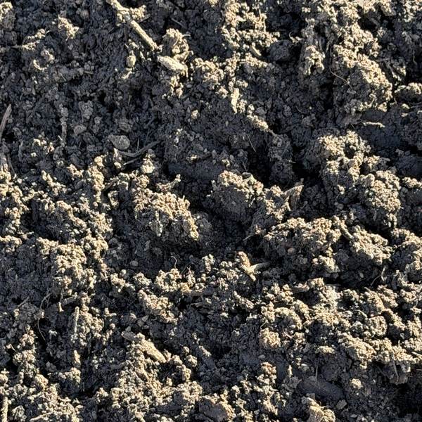 Petrichor Compost — dark compost with pale organic matter
